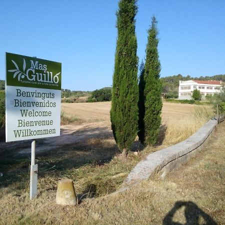 La Nursery De Mas Guillo San Quintín de Mediona エクステリア 写真